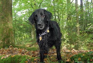 Picture of Amy at Millerground, Windermere 2007