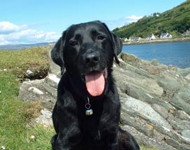 Picture of Picture of Mandy on Arran Rocks