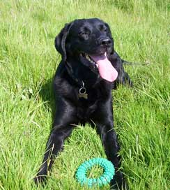 Picture of Mandy with her Green Ring