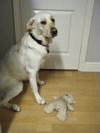 Picture of Michelle with her teddy